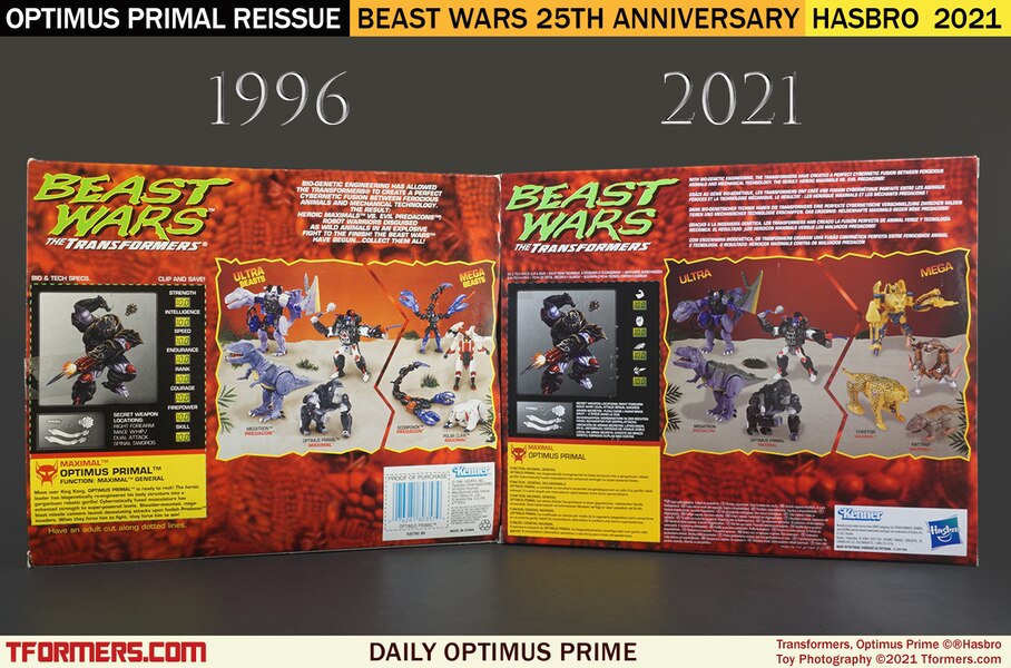 Daily Prime   25th Anniversary Beast Wars Optimus Primal Then And Now  (2 of 5)